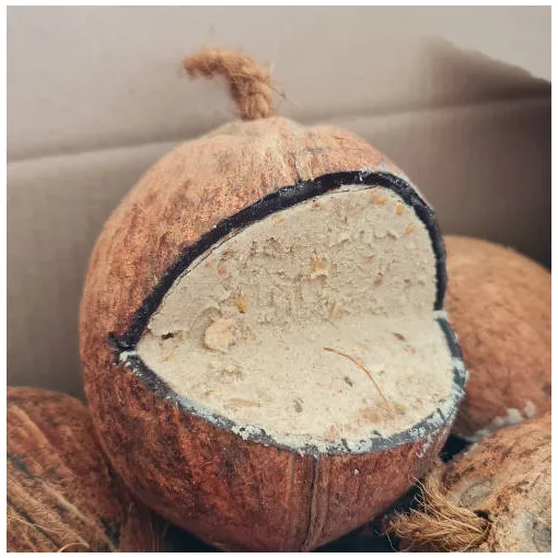 Panzi téli madáreleséggel töltött kókusz 500 g