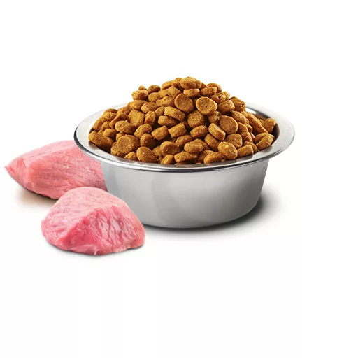 N&D Cat Prime bárány&áfonya adult 300g