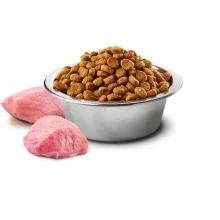 N&D Dog Prime csirke&gránátalma adult mini 800g