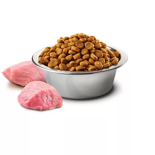 N&D Dog Prime csirke&gránátalma adult mini 800g