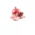   N&D Cat Konzerv Chicken-Pomegranate ( csirke-gránátalma) 70g