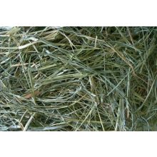 Panzi Réti Széna (kicsi) 5L