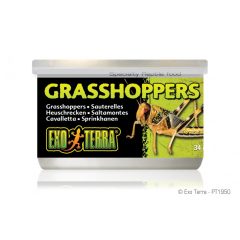 EXO-TERRA Grasshopper - Szöcske konzerv 34g