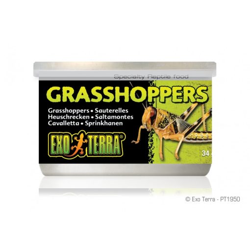 EXO-TERRA Grasshopper - Szöcske konzerv 34g