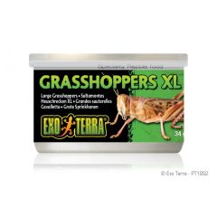 EXO-TERRA Grasshopper - Szöcske konzerv XL 34g