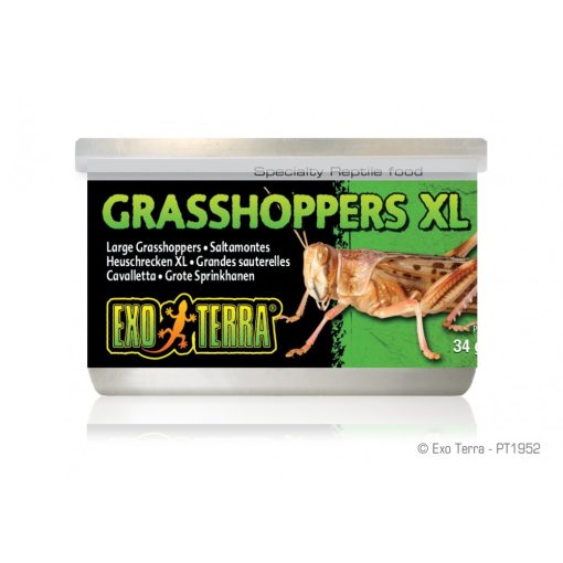 EXO-TERRA Grasshopper - Szöcske konzerv XL 34g
