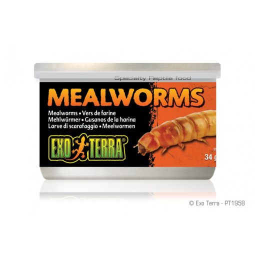 EXO-TERRA Mealworms - Lisztkukac konzerv 34g