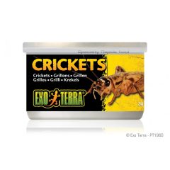 EXO-TERRA Crickets - Tücsök konzerv 34g