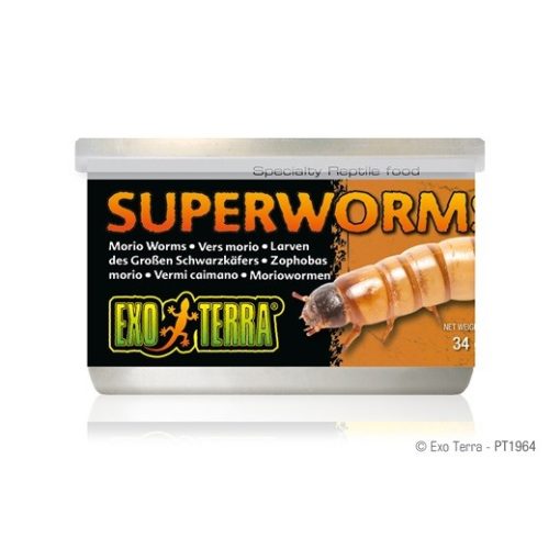 EXO-TERRA Superworms - Féregkonzerv 34g