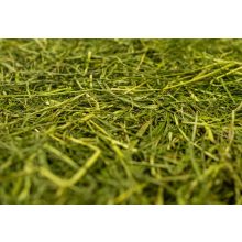 Samerberger Wiesenheu - Német réti széna - bálás HIÁNYOS 12 KG