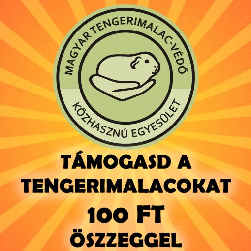 Támogasd a tengerimalacokat 100 Ft