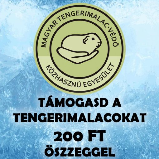 Támogasd a tengerimalacokat 200 Ft