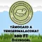 Támogasd a tengerimalacokat 500 Ft