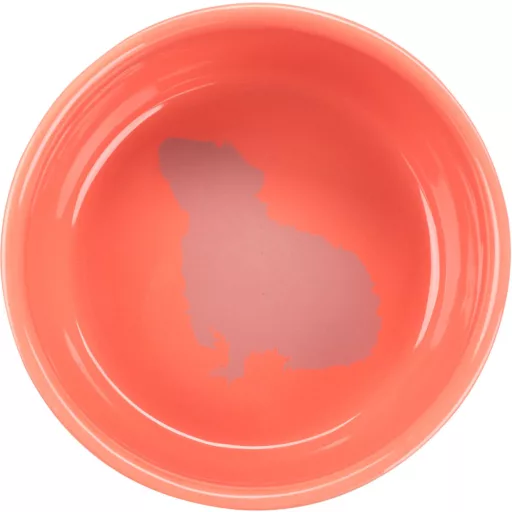 Trixie 60732 Tengerimalac mintás kerámiatál 250ml 11cm - LAZAC