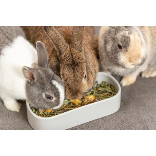 Trixie Ceramic Bowl - Hosszúkás kerámia tál 600 ml - SZÜRKE