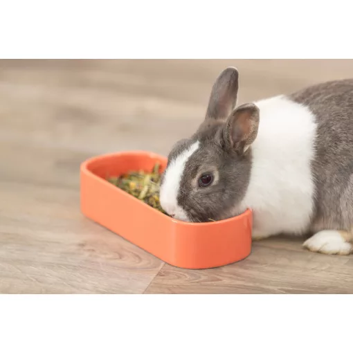 Trixie Ceramic Bowl - Hosszúkás kerámia tál 600 ml - SZÜRKE