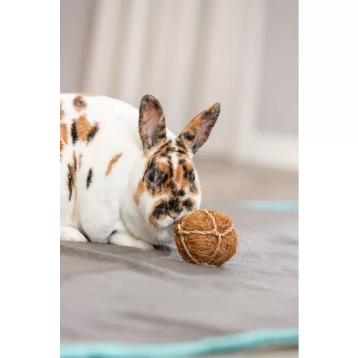 Trixie Kókuszrost labda ⌀6 cm