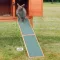 Trixie 6229 Wooden Ramp - rámpa (fenyőfából) kisállatok részére (20x50cm)