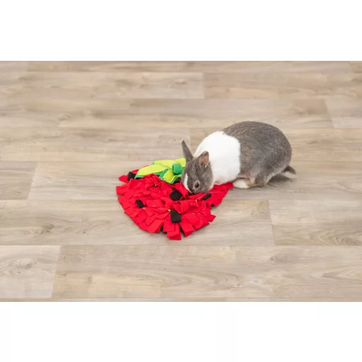 Trixie Strawberry sniffing carpet - eper formájú szimatszőnyeg - 33x40cm