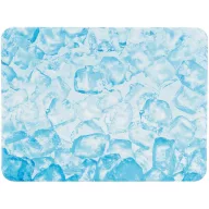   Trixie 63011 Cooling Plate/Hűsítő lap kisállatoknak 20 x 15 cm