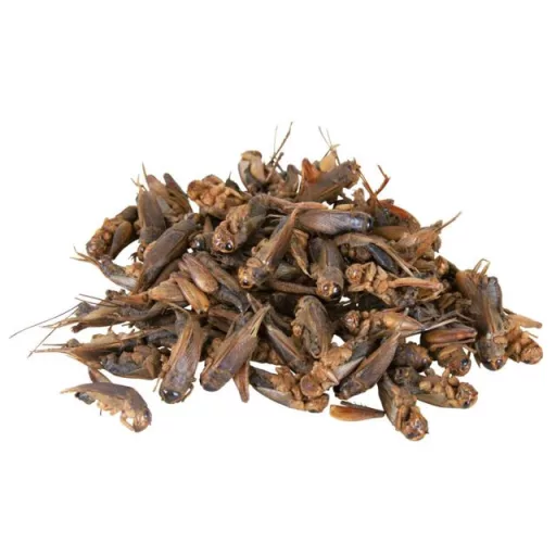 Trixie 76392 Szárított tücsök 25 g