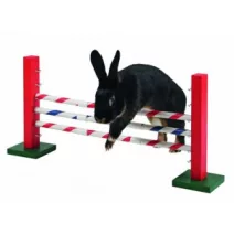 Agility/logikai játékok
