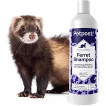 Fürdető sampon