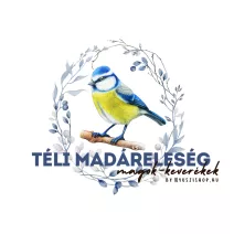 Téli madáreleség/faggyúgolyók