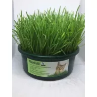Keltetett Kisállatfű 200g
