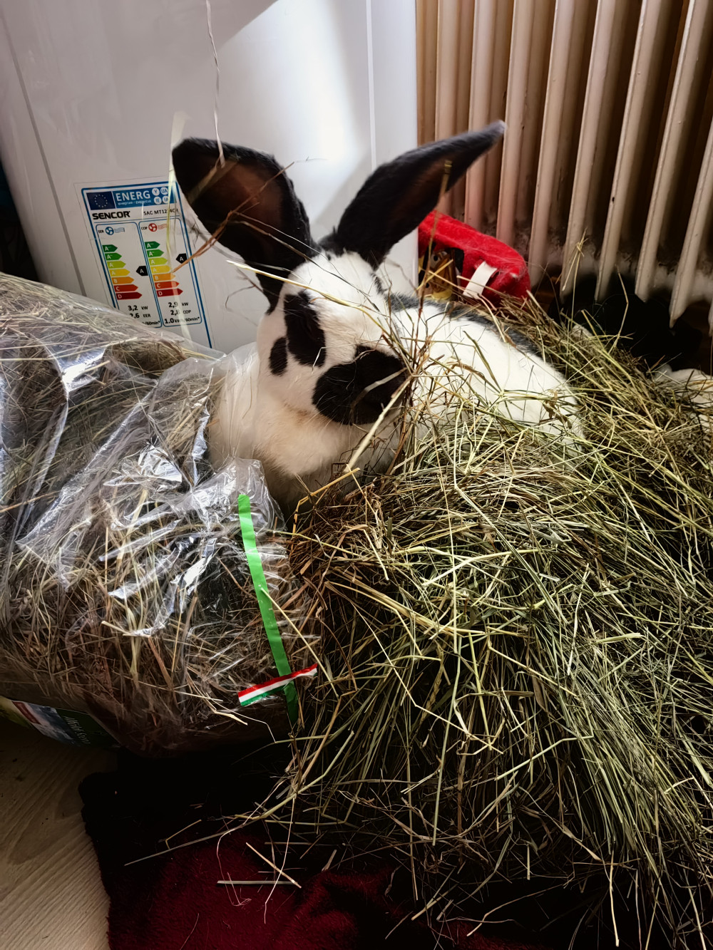 Alföldi széna - Kádár Dani 800g