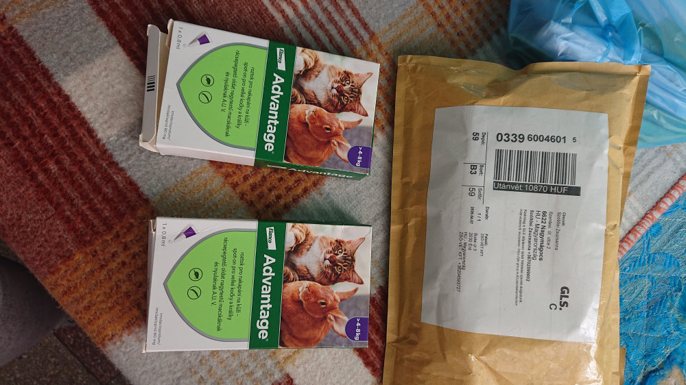   Advantage 40 MACSKA/NYÚL 0,4 ml spot on bolhaírtó <4 kg -1x
