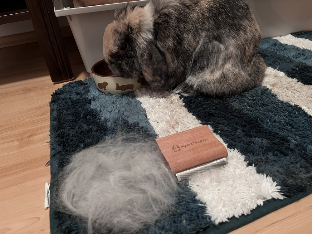 NYUSZISHOP.HU - Kefe kisállatoknak 7 cm
