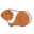 tengerimalac