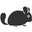 chinchilla